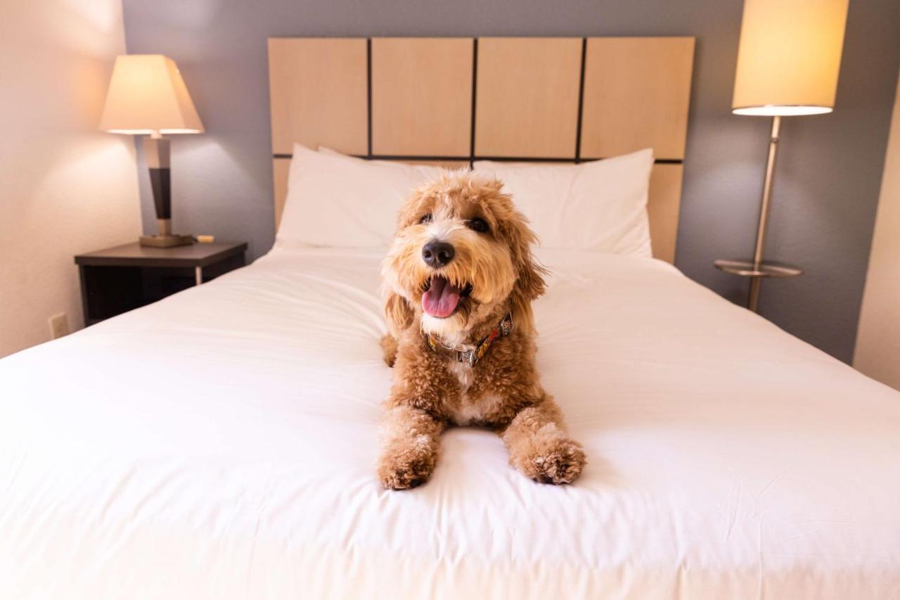 Sonesta Simply Suites Columbus Airport Gahanna Kültér fotó